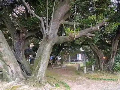 多気比売神社の自然