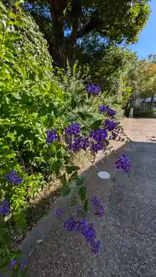 檀王法林寺（栴檀王院無上法林寺）(京都府)