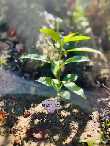 石内のお大師さん　金剛院(広島県)