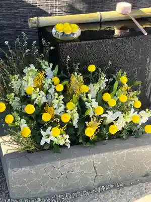 上尾御嶽神社の手水舎