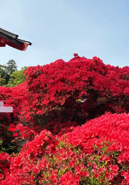 長岡天満宮の{uncategorized: "未分類", other: "その他", undefined: "問題あり", building: "その他建物", grave: "お墓", sacred_gate: "鳥居", guardian: "狛犬", statue: "像", buddha: "仏像", history: "歴史", nature: "自然", garden: "庭園", animal: "動物", pagoda: "塔", temizu: "手水舎", mountain_gate: "山門・神門", sanctuary: "本殿・本堂", subordinate: "末社・摂社", art: "芸術", scenery: "景色", jizo: "地蔵", ema: "絵馬", goshuin: "御朱印", omikuji: "おみくじ", items: "授与品その他", amulet: "お守り", goshuincho: "御朱印帳", eats: "食事", festival: "お祭り", votive_dance: "神楽", shichigosan: "七五三参", wedding: "結婚式", experience: "体験その他", initially: "初詣", around: "周辺", anti_infection: "感染症対策"}