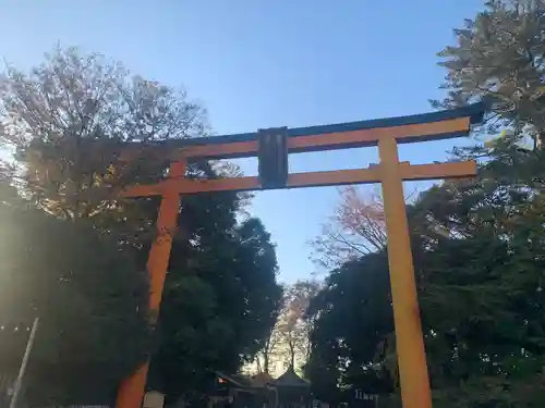 川越氷川神社の鳥居