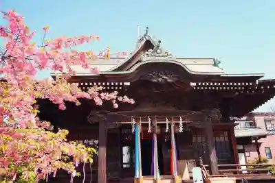 桜神宮(東京都)