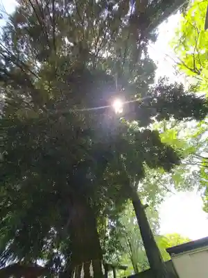 桐生天満宮(群馬県)