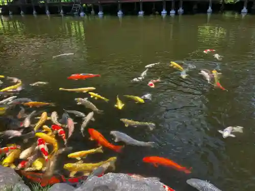 身曾岐神社(山梨県)