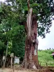 慶徳稲荷神社(福島県)