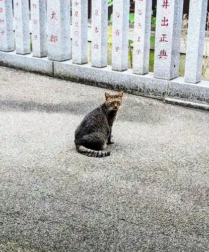 白金氷川神社の動物