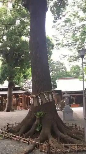 星川杉山神社のその他建物