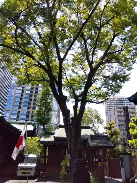 鐵砲洲稲荷神社(東京都)