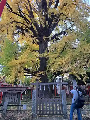 鬼子母神堂　(法明寺）(東京都)