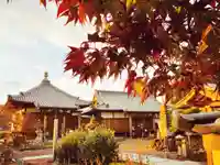 真言宗 善通寺派 薬王寺(香川県)