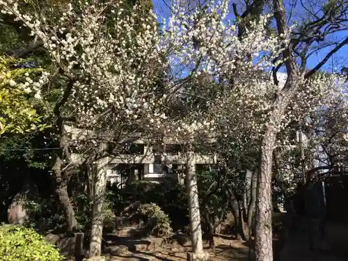 品川神社の鳥居