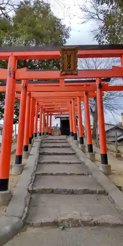 渋川神社の鳥居