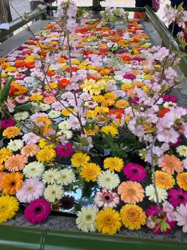 住吉神社の手水舎