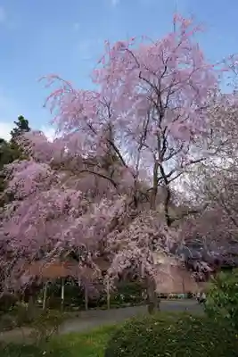 南原寺(山口県)