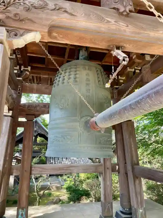 大円寺(東京都)