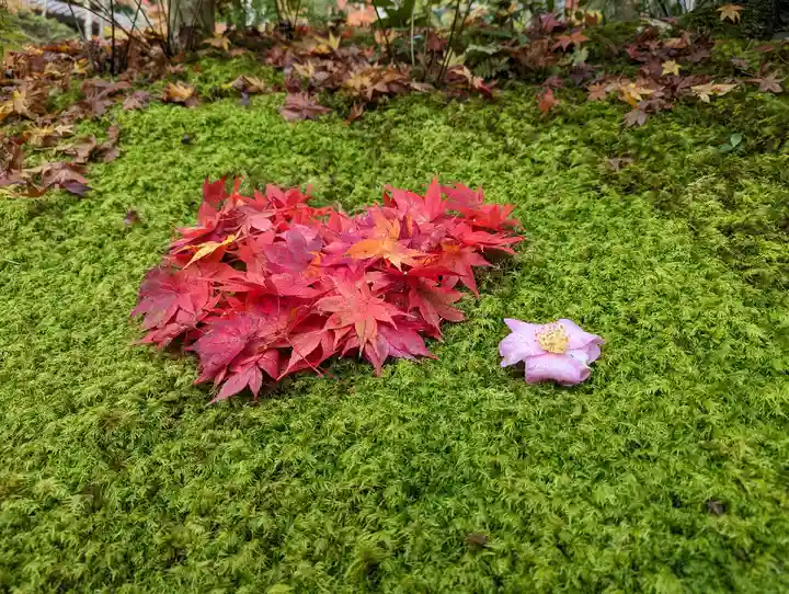 祇王寺(京都府)