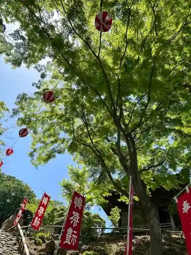 温泉神社〜いわき湯本温泉〜の庭園