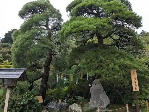 宝登山神社(埼玉県)