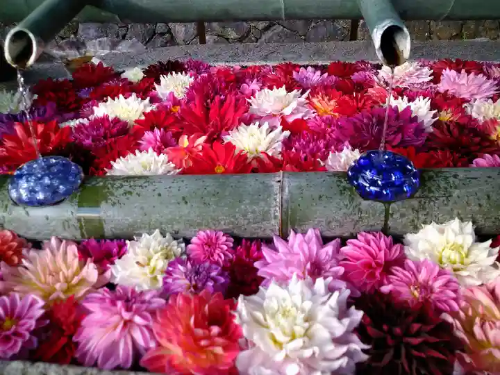 岡寺(龍蓋寺)の手水舎