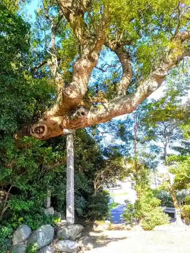 白山社（小鈴谷白山神社）の自然