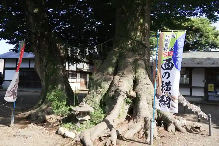 八枝神社(埼玉県)