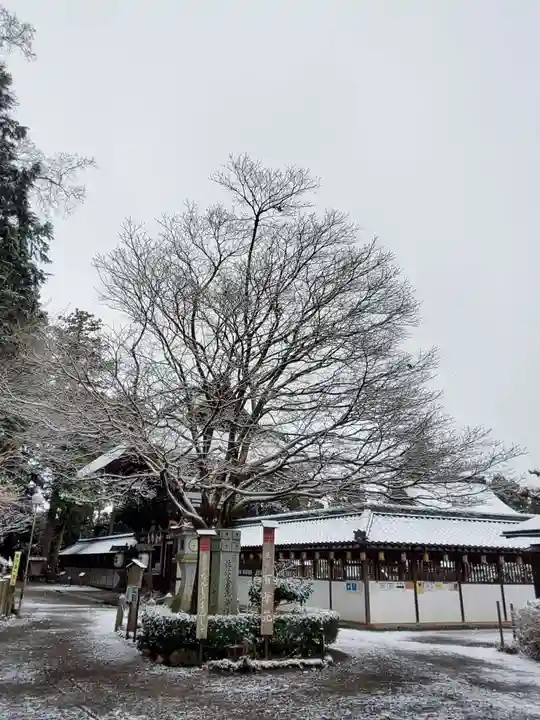 沙沙貴神社のその他建物