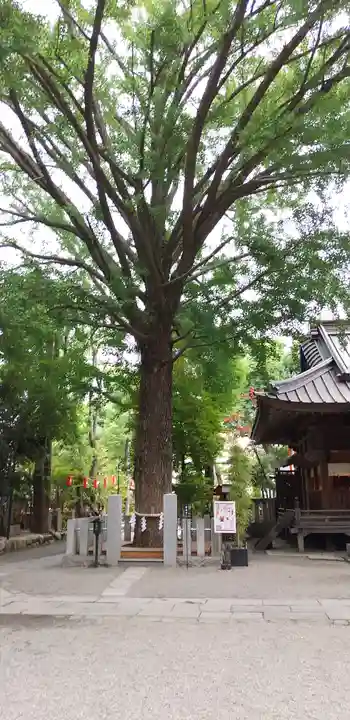 田無神社の動物