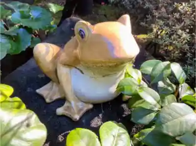 玄国寺のその他建物