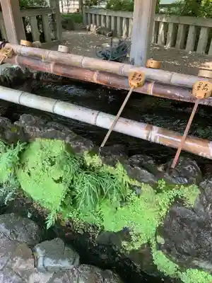 長岡天満宮の手水舎