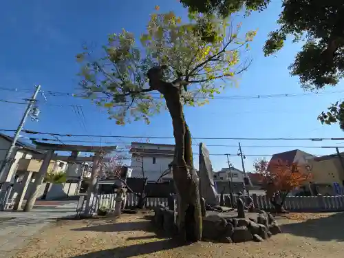 瓜破天神社(大阪府)