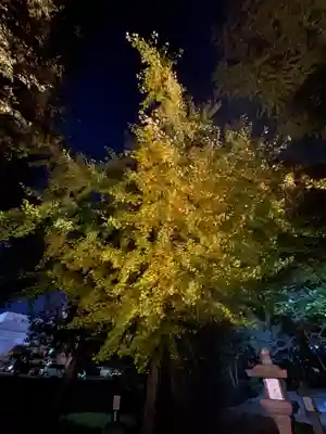 三栖神社(京都府)