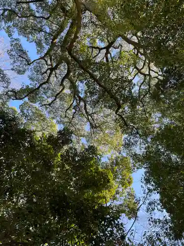 賀茂御祖神社（下鴨神社）の自然