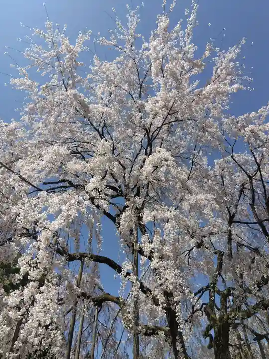 足羽神社(福井県)