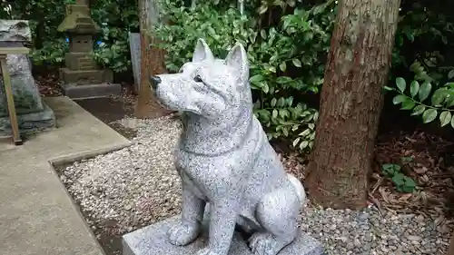 座間神社の狛犬