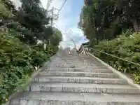 所澤神明社(埼玉県)