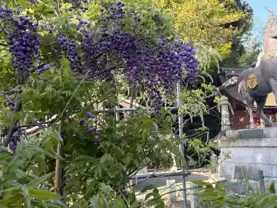 志那神社の{uncategorized: "未分類", other: "その他", undefined: "問題あり", building: "その他建物", grave: "お墓", sacred_gate: "鳥居", guardian: "狛犬", statue: "像", buddha: "仏像", history: "歴史", nature: "自然", garden: "庭園", animal: "動物", pagoda: "塔", temizu: "手水舎", mountain_gate: "山門・神門", sanctuary: "本殿・本堂", subordinate: "末社・摂社", art: "芸術", scenery: "景色", jizo: "地蔵", ema: "絵馬", goshuin: "御朱印", omikuji: "おみくじ", items: "授与品その他", amulet: "お守り", goshuincho: "御朱印帳", eats: "食事", festival: "お祭り", votive_dance: "神楽", shichigosan: "七五三参", wedding: "結婚式", experience: "体験その他", initially: "初詣", around: "周辺", anti_infection: "感染症対策"}