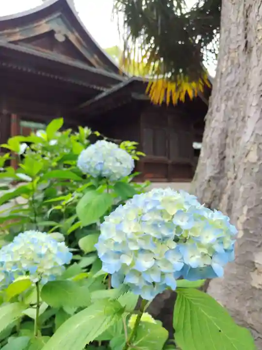 鹿嶋神社(東京都)