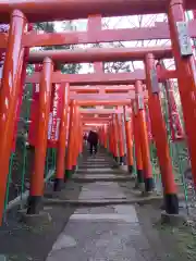 佐助稲荷神社の鳥居