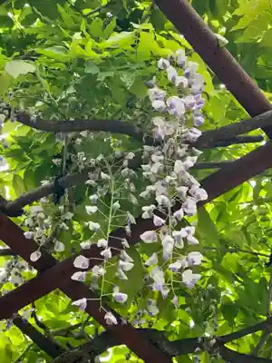 安井金比羅宮(京都府)