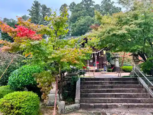 常宮神社(福井県)