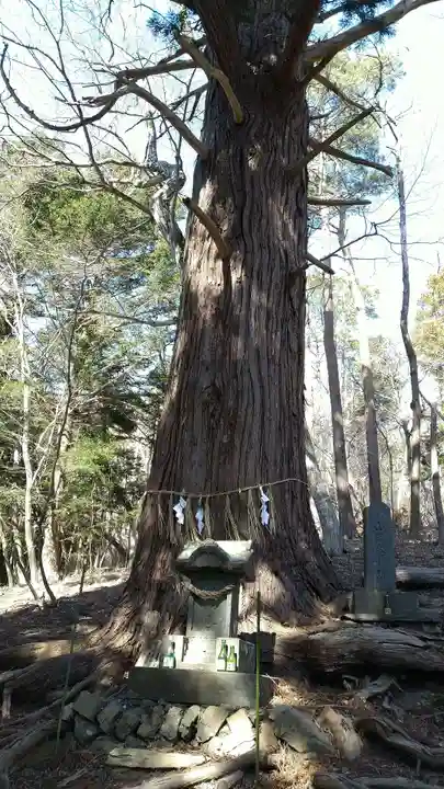 横山不動尊の自然