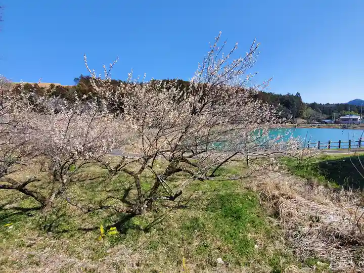 岩倉神社(栃木県)