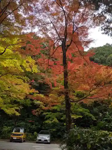 大矢田神社の自然