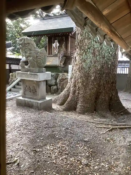 神明社(露橋神明社)の狛犬