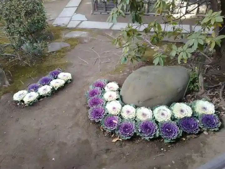 題経寺(柴又帝釈天)(東京都)