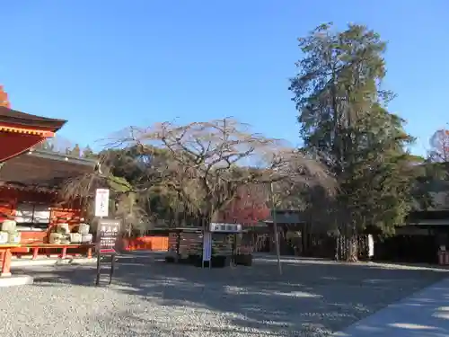 富士山本宮浅間大社のその他建物