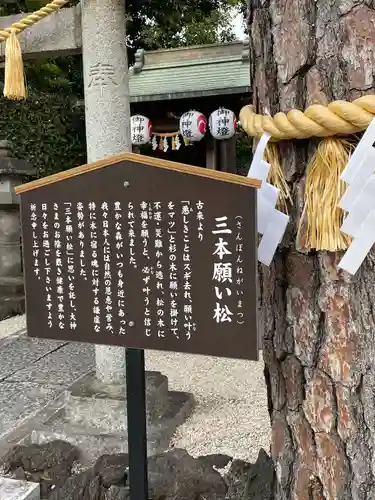 中野沼袋氷川神社(東京都)