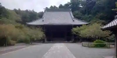 妙本寺(神奈川県)