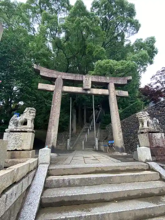 枝光八幡宮の鳥居